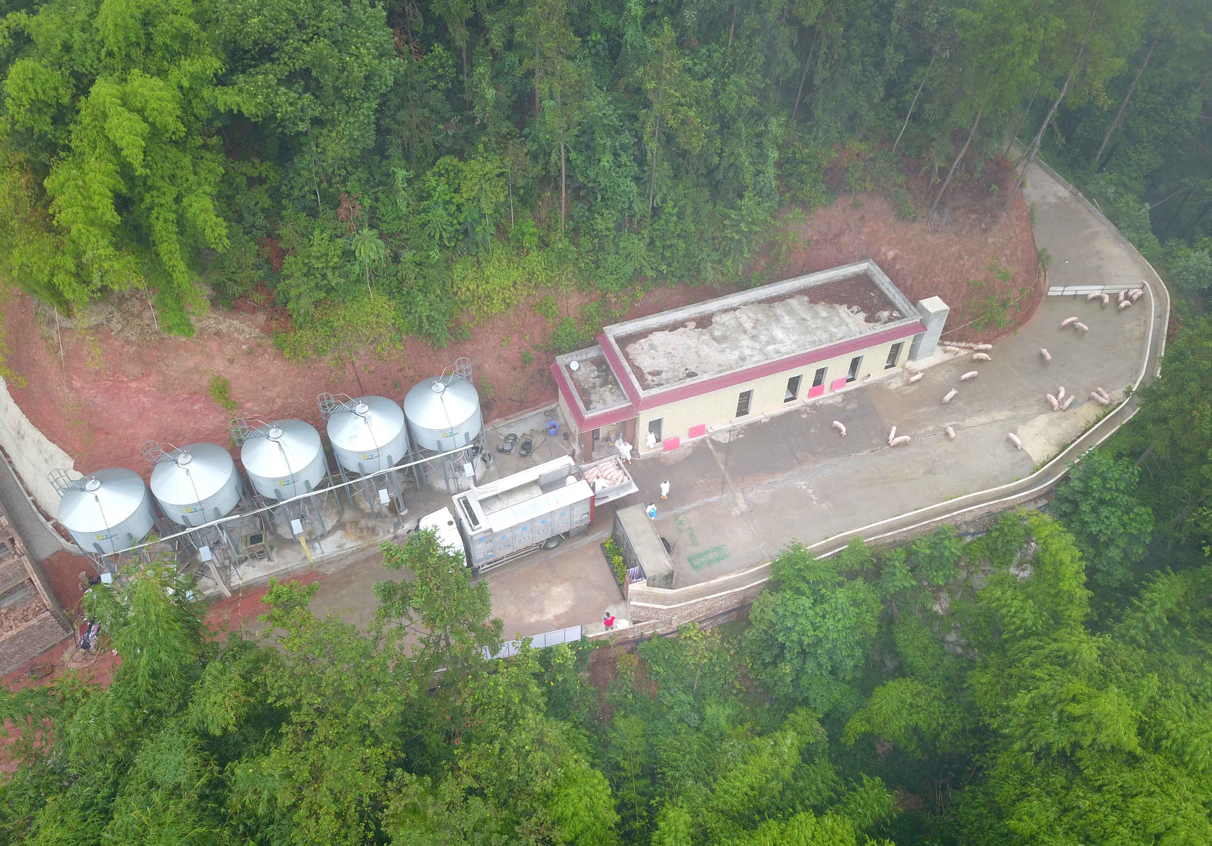 DJI_0068.jpg
