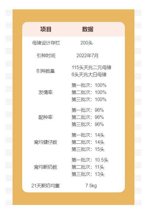 养猪数据.jpg